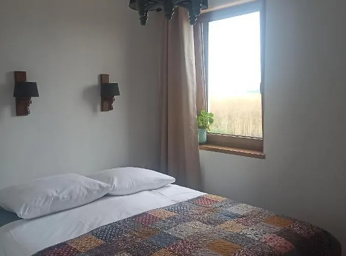 Piekne Zielone * Zator